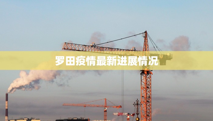 罗田疫情最新进展情况
