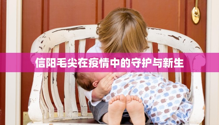 信阳毛尖在疫情中的守护与新生