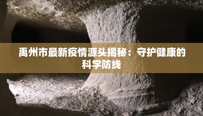 禹州市最新疫情源头揭秘：守护健康的科学防线