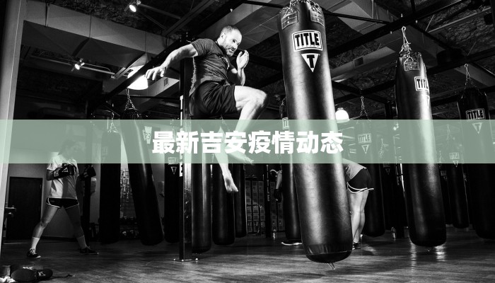 最新吉安疫情动态