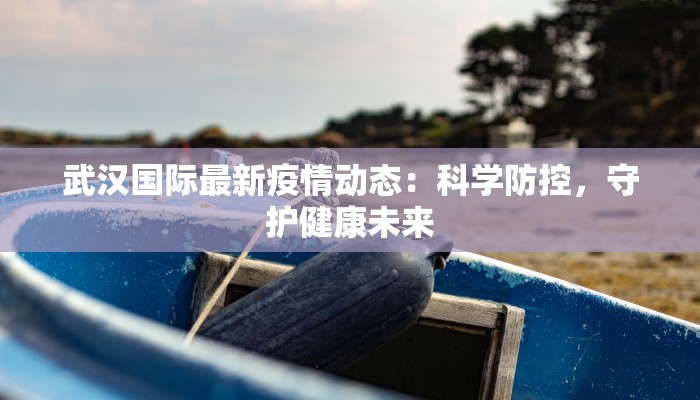 武汉国际最新疫情动态：科学防控，守护健康未来