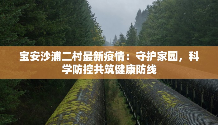 宝安沙浦二村最新疫情：守护家园，科学防控共筑健康防线