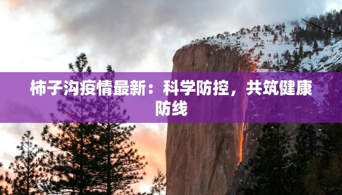 柿子沟疫情最新：科学防控，共筑健康防线