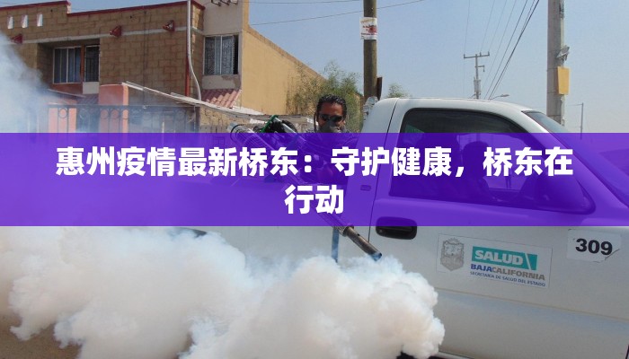 惠州疫情最新桥东：守护健康，桥东在行动