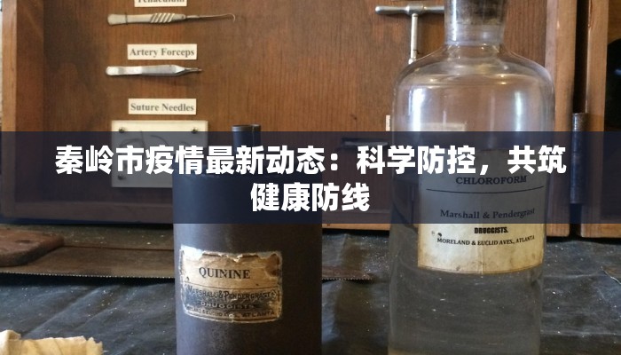 秦岭市疫情最新动态：科学防控，共筑健康防线