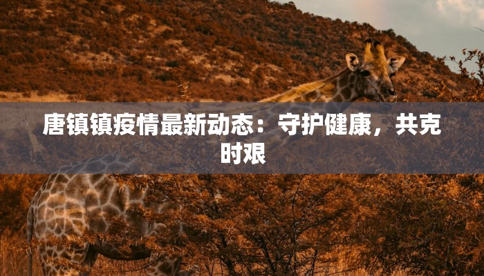 唐镇镇疫情最新动态：守护健康，共克时艰