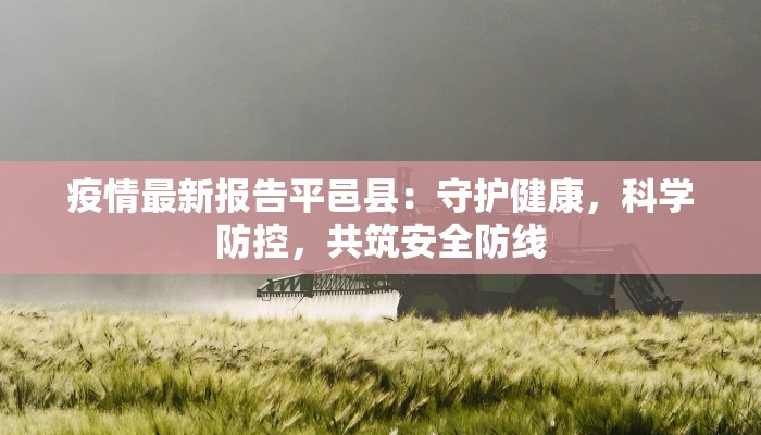 疫情最新报告平邑县：守护健康，科学防控，共筑安全防线