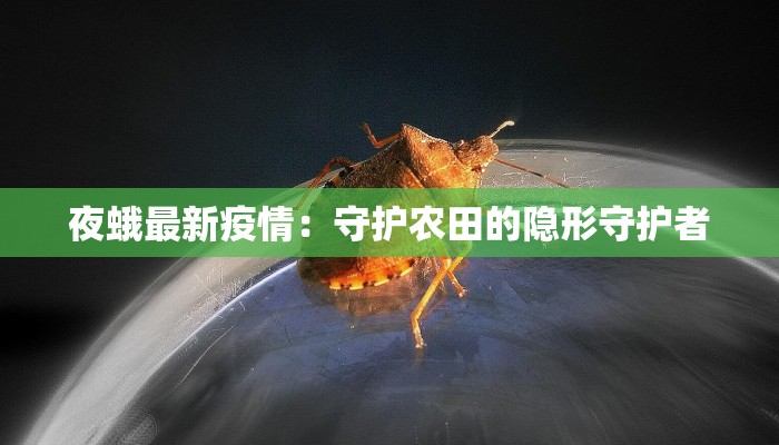 夜蛾最新疫情：守护农田的隐形守护者