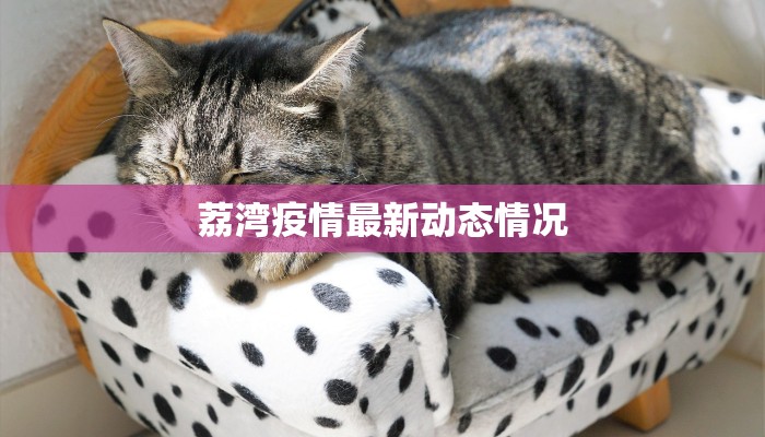 荔湾疫情最新动态情况