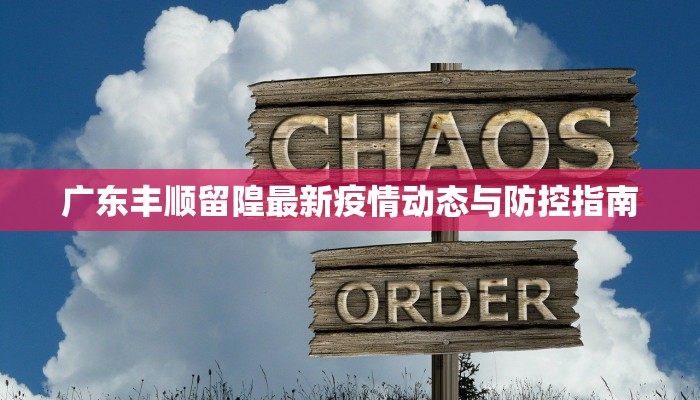 广东丰顺留隍最新疫情动态与防控指南