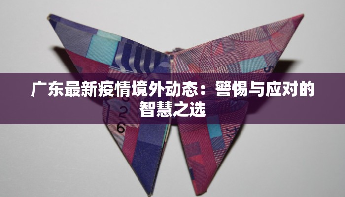 广东最新疫情境外动态：警惕与应对的智慧之选