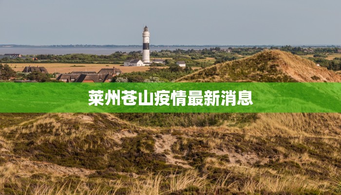莱州苍山疫情最新消息