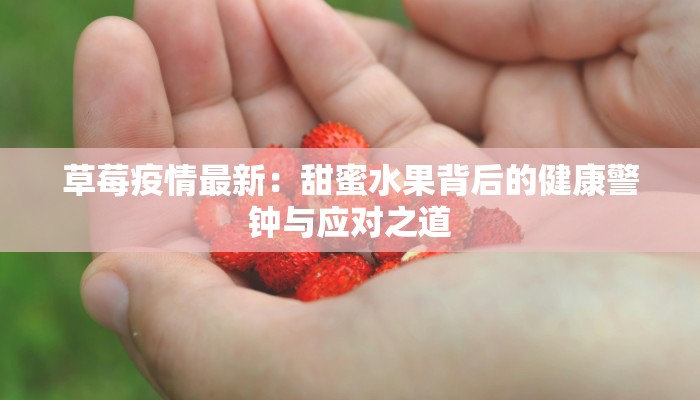 草莓疫情最新：甜蜜水果背后的健康警钟与应对之道