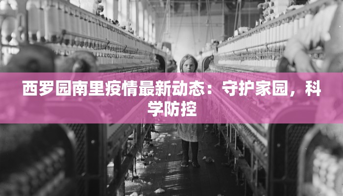 西罗园南里疫情最新动态：守护家园，科学防控