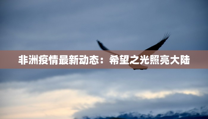 非洲疫情最新动态：希望之光照亮大陆