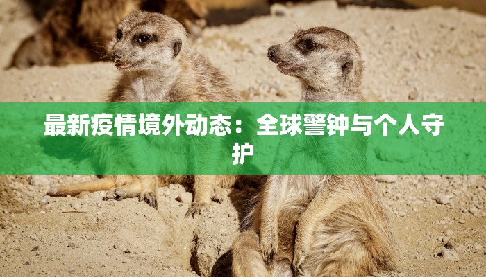 最新疫情境外动态：全球警钟与个人守护