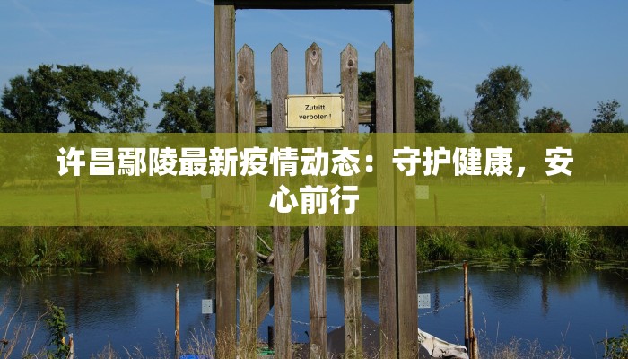 许昌鄢陵最新疫情动态：守护健康，安心前行