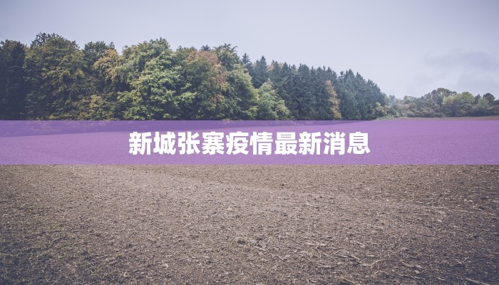 新城张寨疫情最新消息