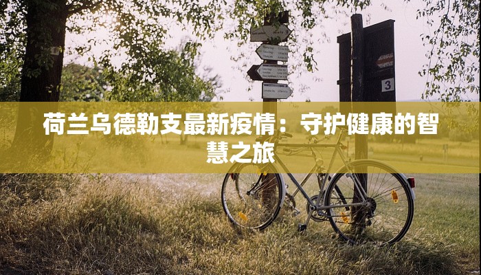 荷兰乌德勒支最新疫情：守护健康的智慧之旅