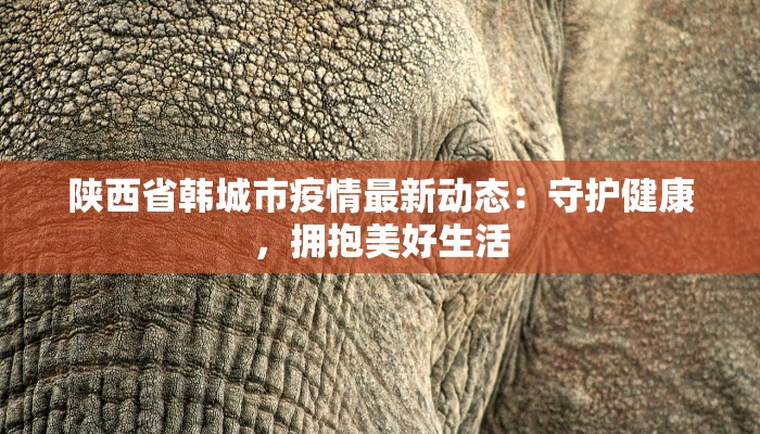 陕西省韩城市疫情最新动态：守护健康，拥抱美好生活