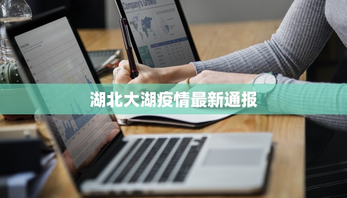 湖北大湖疫情最新通报