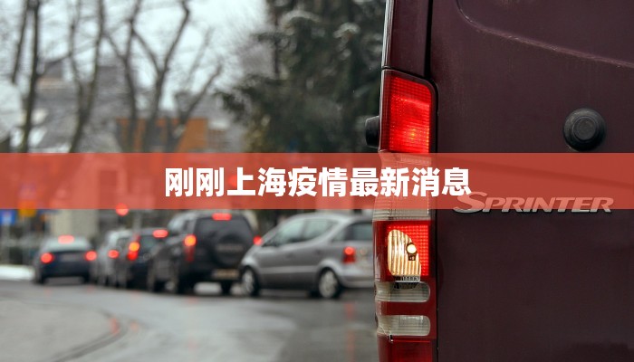 刚刚上海疫情最新消息