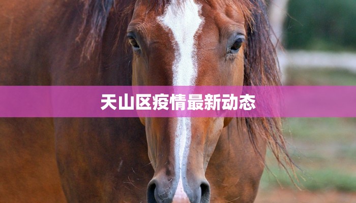 天山区疫情最新动态