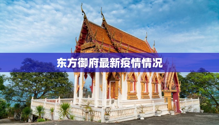 东方御府最新疫情情况