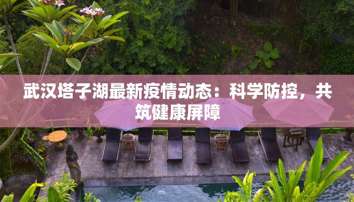 武汉塔子湖最新疫情动态：科学防控，共筑健康屏障