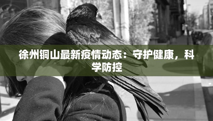 徐州铜山最新疫情动态：守护健康，科学防控