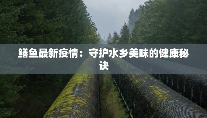 鳝鱼最新疫情：守护水乡美味的健康秘诀
