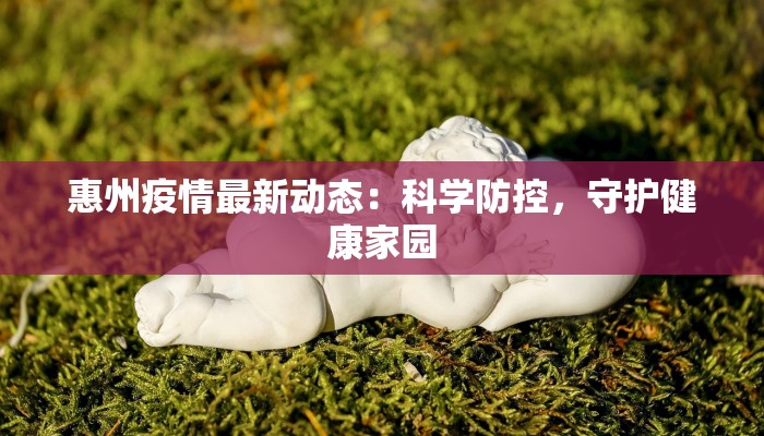 惠州疫情最新动态：科学防控，守护健康家园