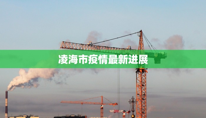 坪口镇最新疫情情况