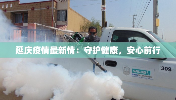 上海北桥疫情最新情况