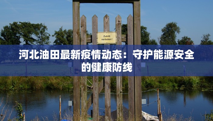 河北油田最新疫情动态：守护能源安全的健康防线
