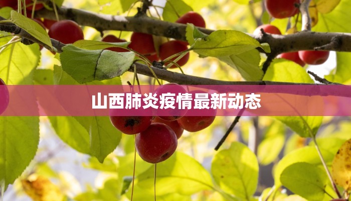 山西肺炎疫情最新动态 山西肺炎疫情最新动态