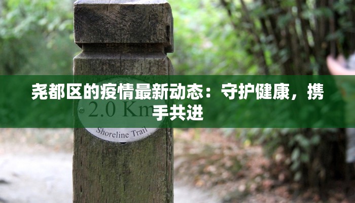 尧都区的疫情最新动态:守护健康,携手共进 尧都区的疫情最新动态:守护健康,携手共进