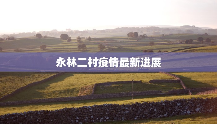 永林二村疫情最新进展 永林二村疫情最新进展
