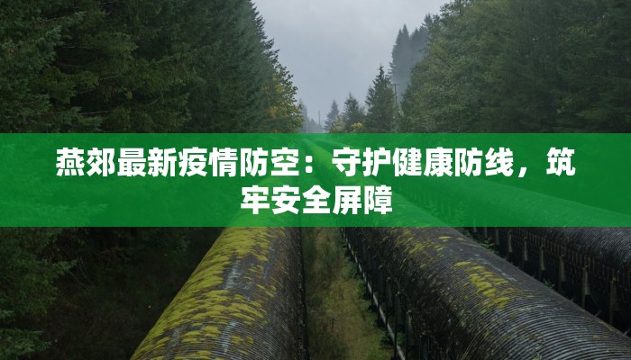 燕郊最新疫情防空：守护健康防线，筑牢安全屏障