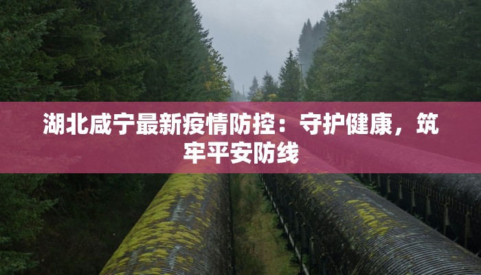 湖北咸宁最新疫情防控：守护健康，筑牢平安防线
