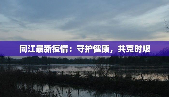 各省疫情情况分布最新