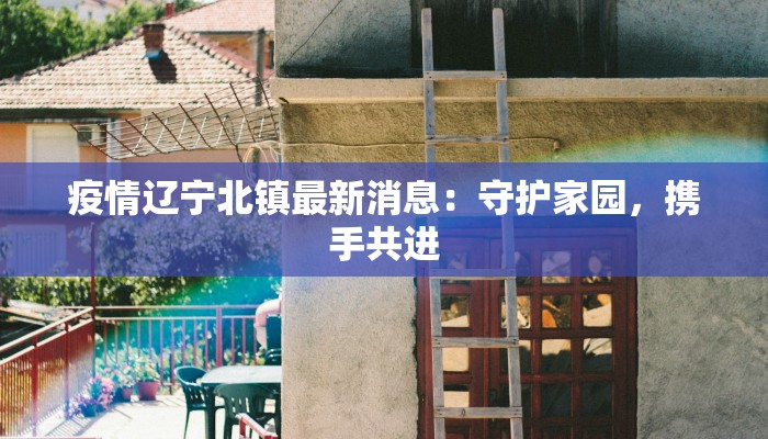 北京武清最新疫情：科学防控下的平安守护