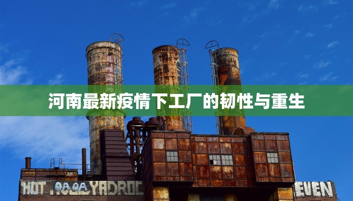 河南最新疫情下工厂的韧性与重生