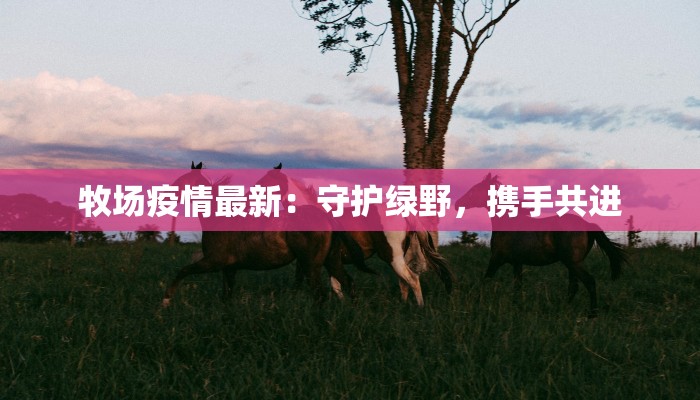 最新河西疫情最新通报