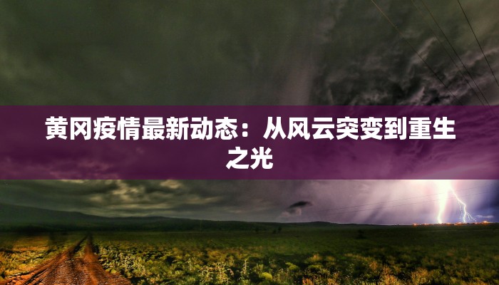 黄冈疫情最新动态：从风云突变到重生之光