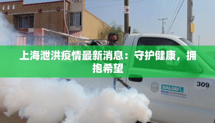 上海泄洪疫情最新消息：守护健康，拥抱希望