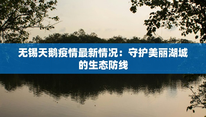 无锡天鹅疫情最新情况：守护美丽湖城的生态防线