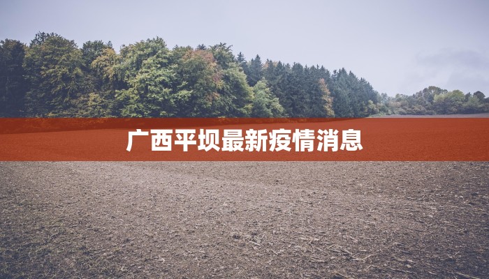 广西平坝最新疫情消息