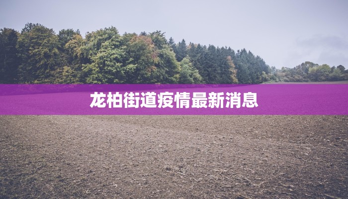 龙柏街道疫情最新消息