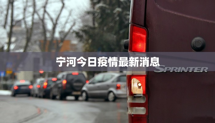 宁河今日疫情最新消息